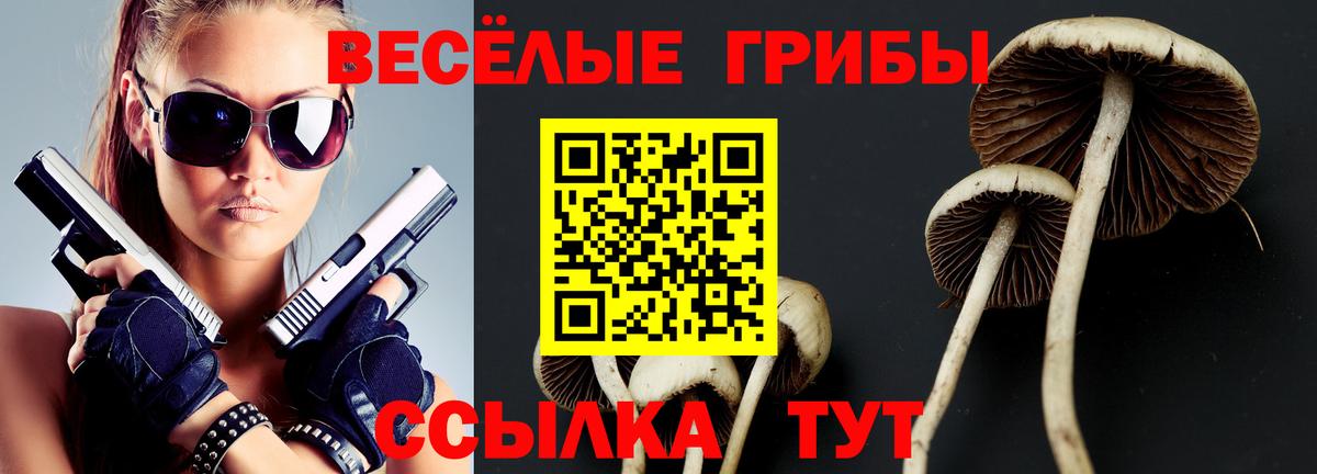 Галлюциногенные грибы Cubensis Можга